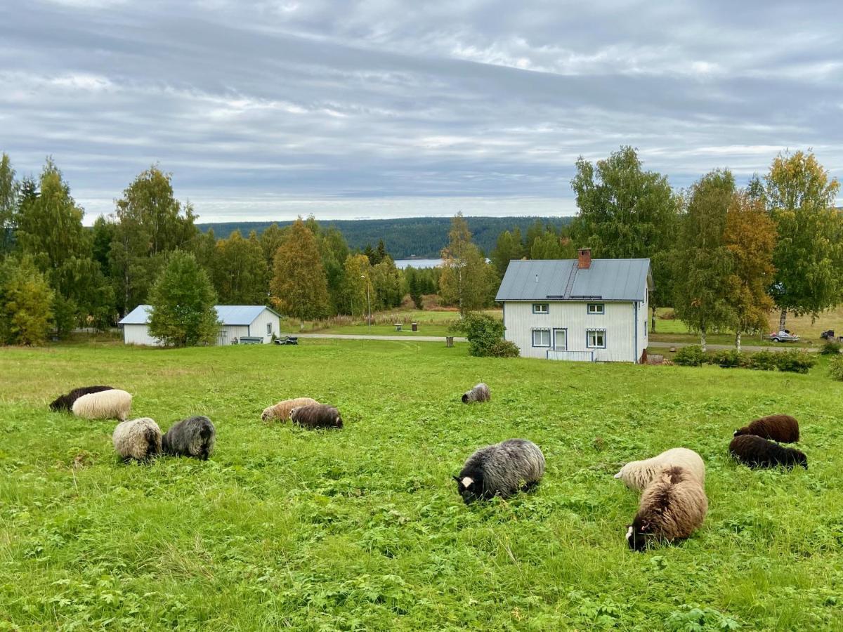 Vildmarksgard Lillviken * Stromsund