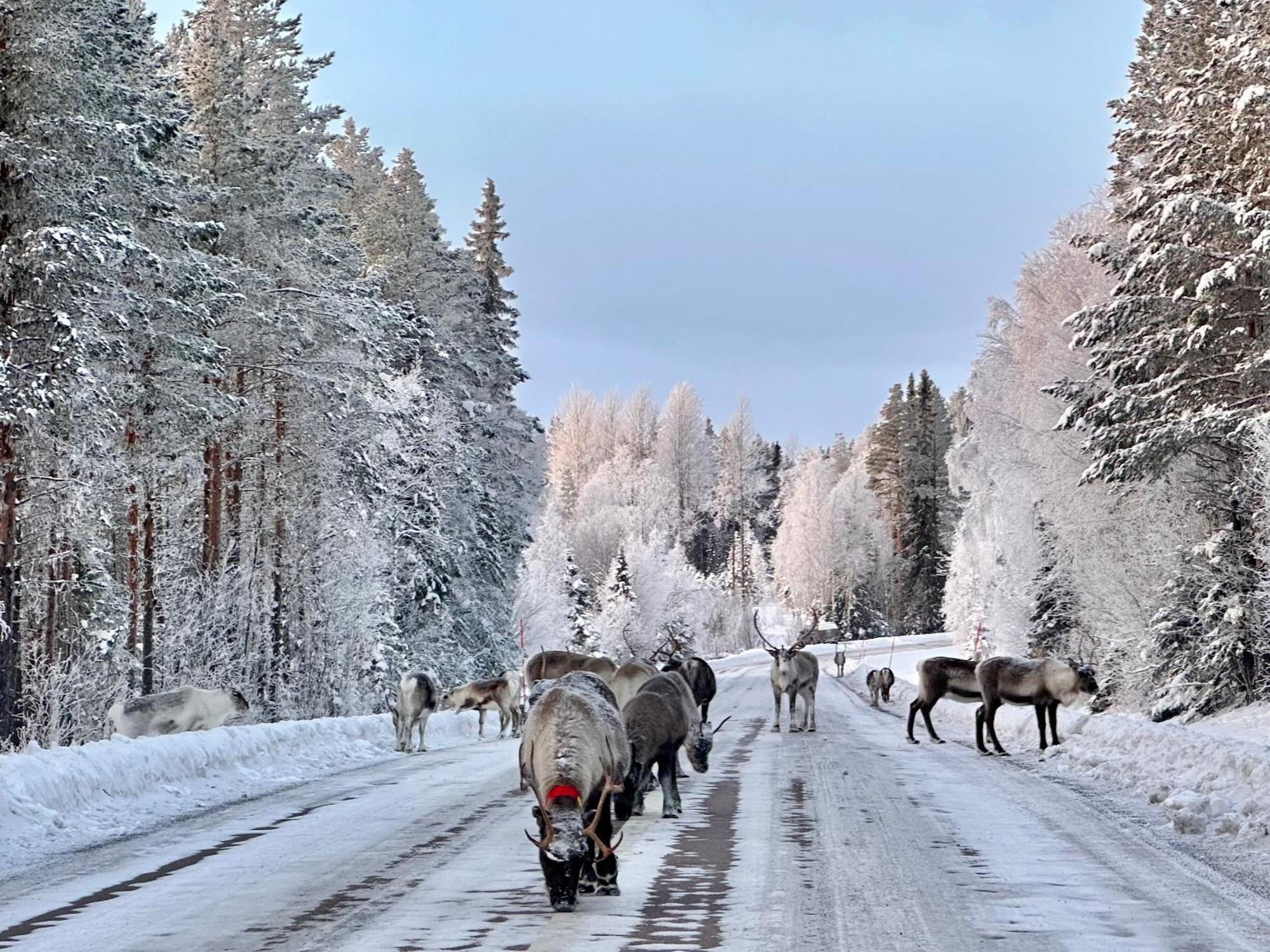 Holiday home Vildmarksgard Lillviken Stromsund