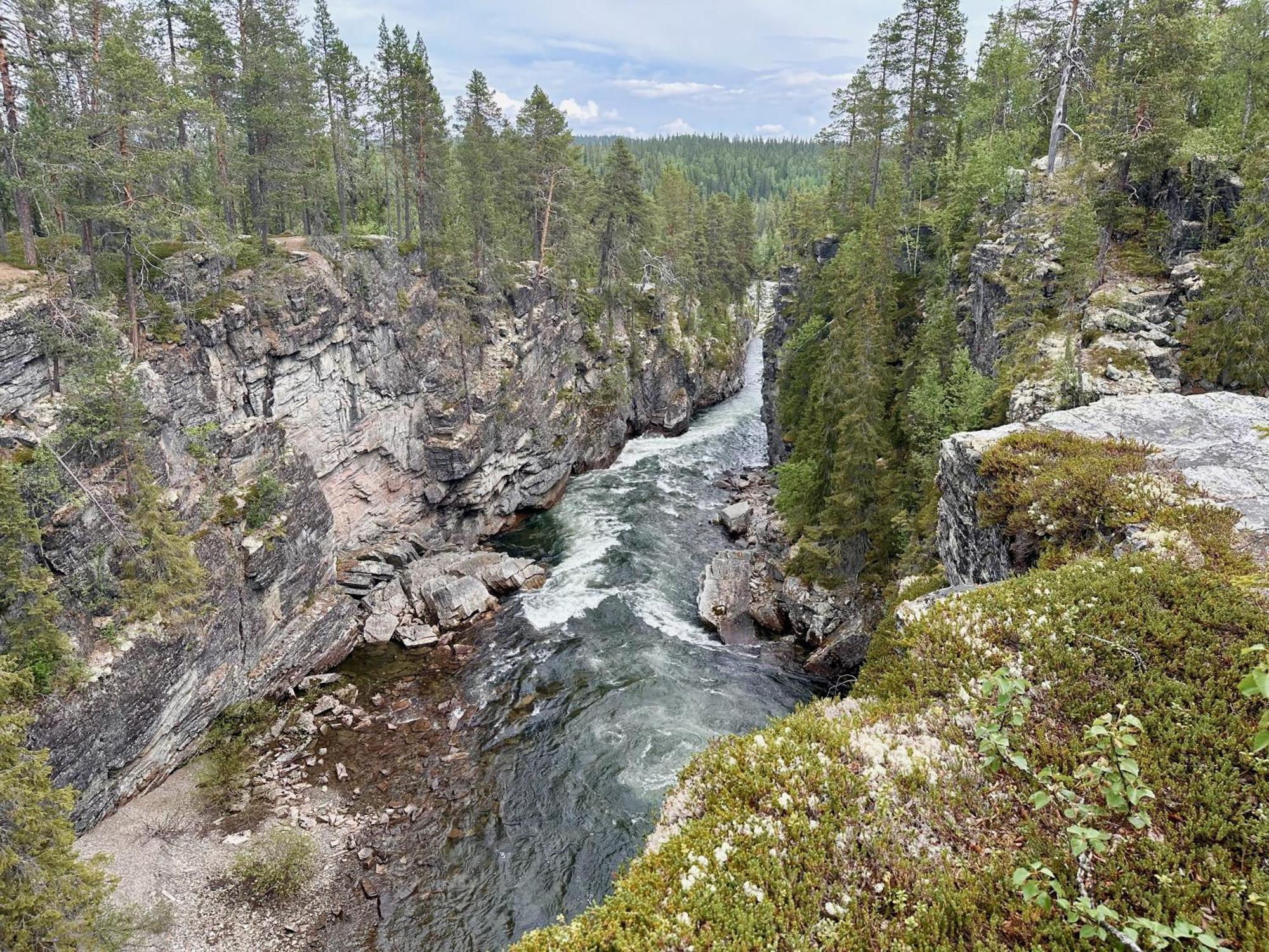 Vildmarksgard Lillviken